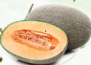 下次吃哈密瓜视频,揭秘下次品尝的甜蜜期待