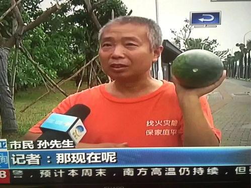 朝阳市吃瓜群众事件视频,网络围观下的社会现象解析