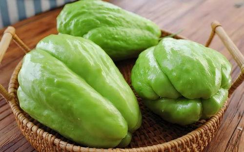 菜狗吃佛手瓜视频在线观看,一场趣味横生的美食探险