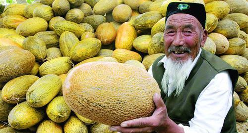 老挝农民吃哈密瓜视频在线观看,传统与现代的完美融合