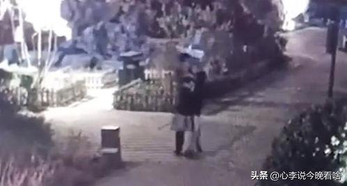 德州吃瓜事件视频完整版,揭秘视频完整版背后的真相与争议