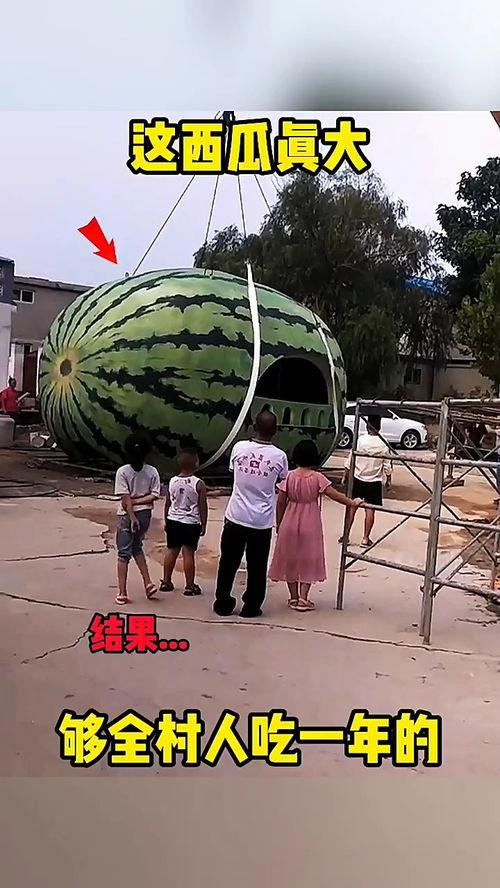 吃瓜全吞搞笑视频大全,笑料横生！吃瓜全吞搞笑视频大盘点