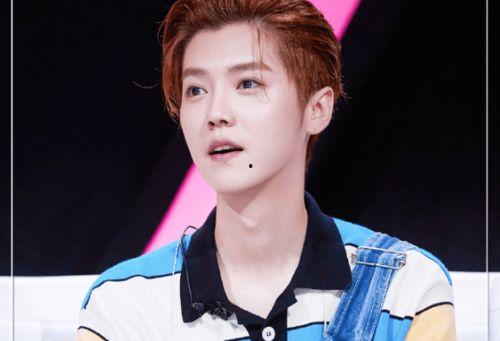 鹿晗八卦吃瓜视频合集,娱乐圈风云再起