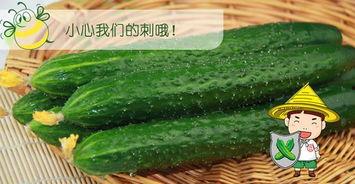 配吃瓜的视频,跟随视频一起品尝夏日清凉