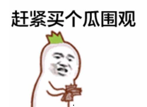 赖子哥吃瓜群众视频,揭秘娱乐圈幕后故事