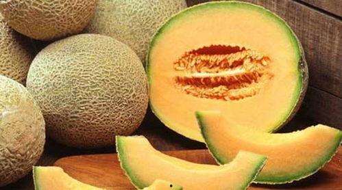 傻瓜吃哈密瓜视频大全下载,傻瓜吃哈密瓜视频大全，笑料横生，欢乐无限！