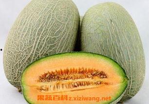 洗澡吃哈密瓜好吗视频讲解,洗澡时吃哈密瓜的利弊解析