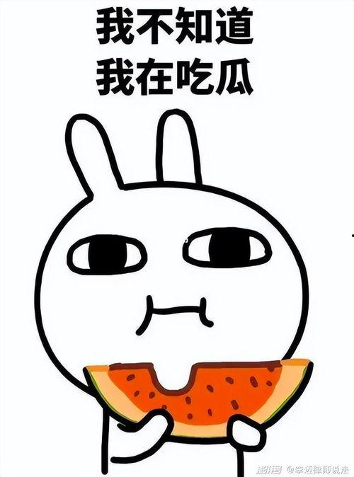 阿呆和阿瓜吃鸡蛋视频,解锁鸡蛋新吃法