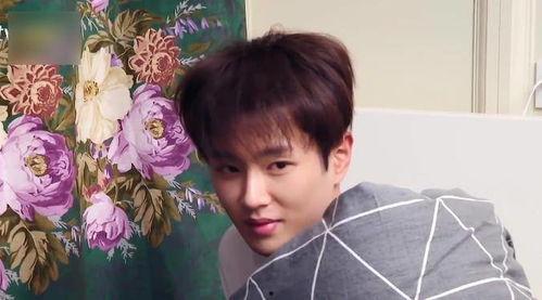 陈泽看吃瓜视频,揭秘娱乐圈幕后故事