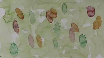 吃瓜视频动画短片,一场动画短片的视觉盛宴